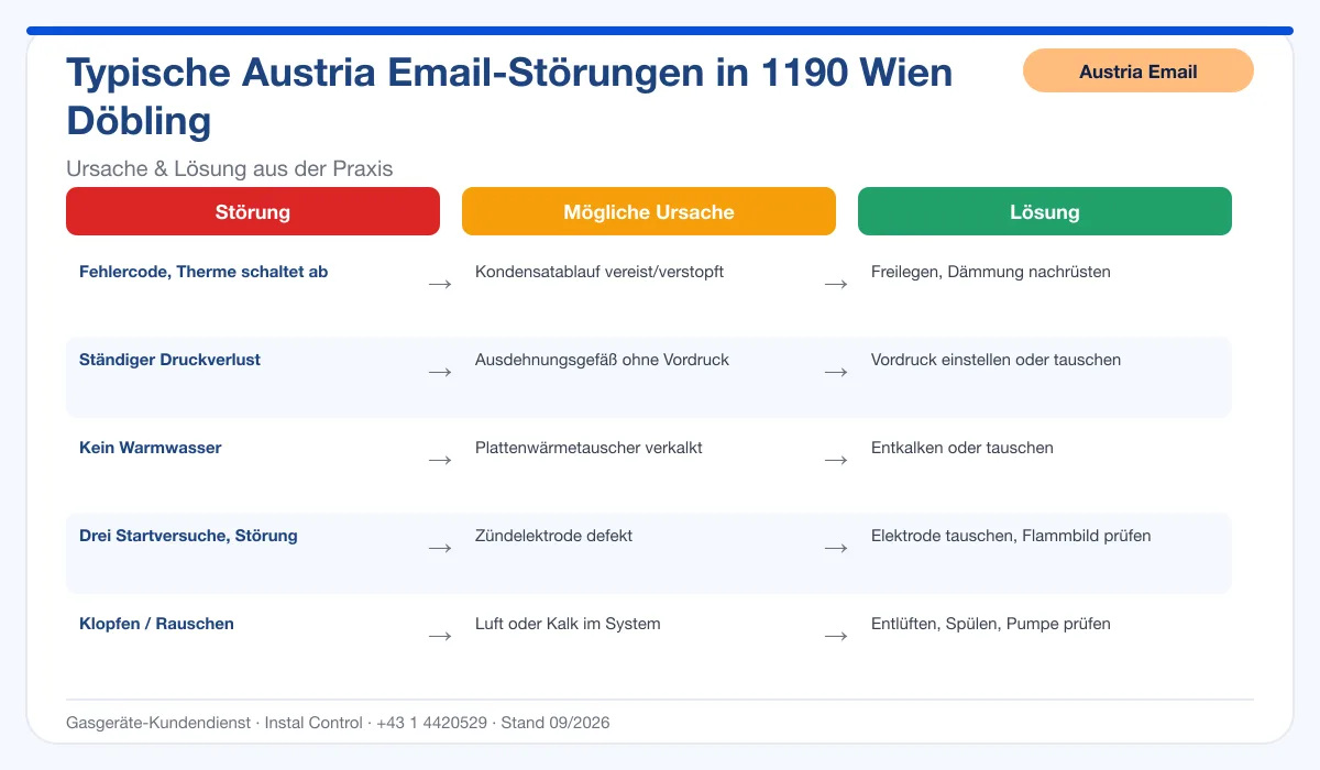 Infografik Austria Email Thermenreparatur 1190 Wien Döbling: typische Störungen, Ursachen und Lösungen