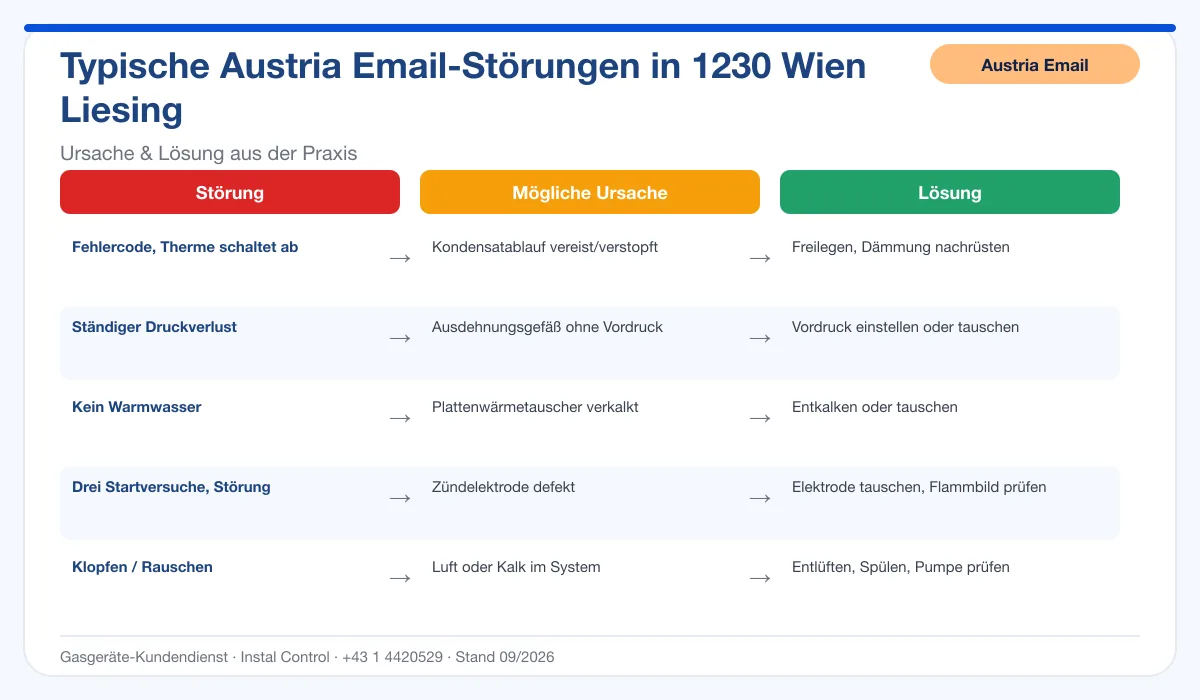 Infografik Austria Email Thermenreparatur 1230 Wien Liesing: typische Störungen, Ursachen und Lösungen