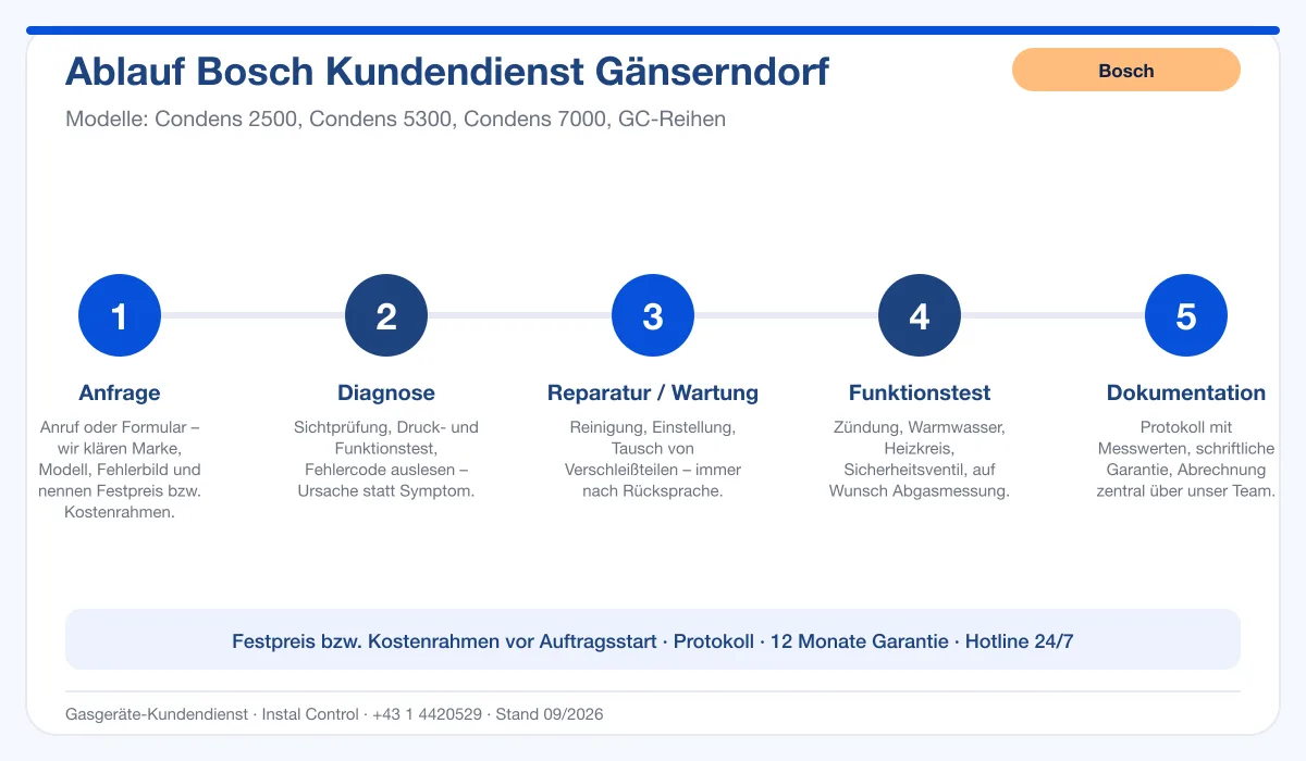 Infografik Ablauf Bosch Kundendienst Gänserndorf: Anfrage, Diagnose, Service, Funktionstest, Protokoll