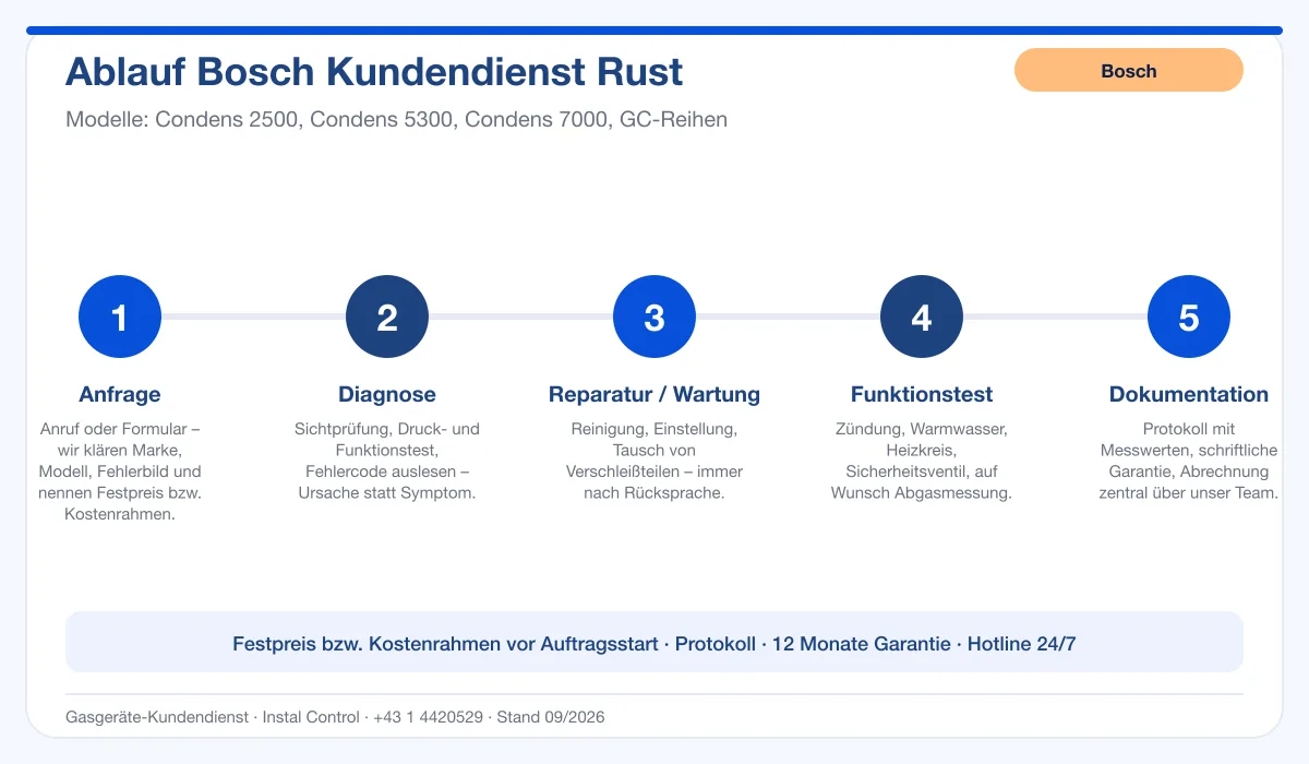 Infografik Ablauf Bosch Kundendienst Rust: Anfrage, Diagnose, Service, Funktionstest, Protokoll