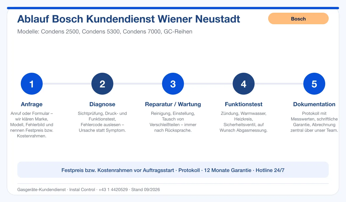Infografik Ablauf Bosch Kundendienst Wiener Neustadt: Anfrage, Diagnose, Service, Funktionstest, Protokoll