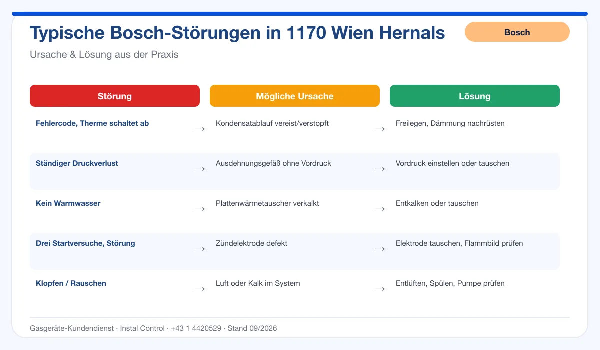 Infografik Bosch Thermenreparatur 1170 Wien Hernals: typische Störungen, Ursachen und Lösungen