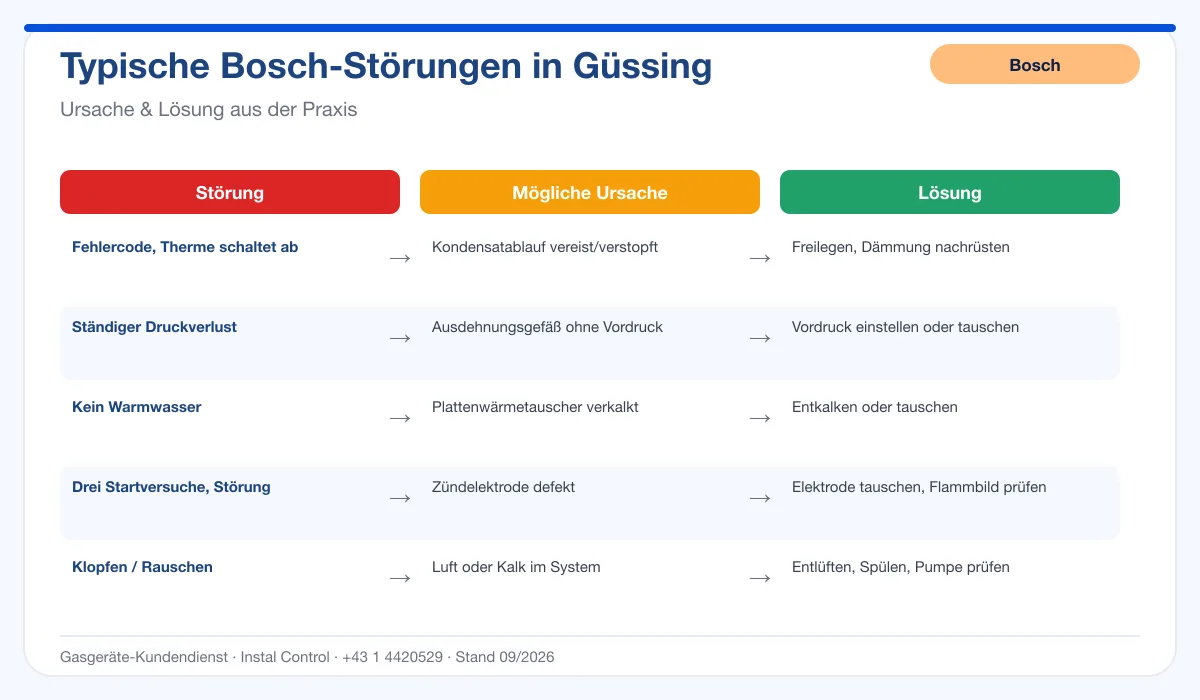 Infografik Bosch Thermenreparatur Güssing: typische Störungen, Ursachen und Lösungen
