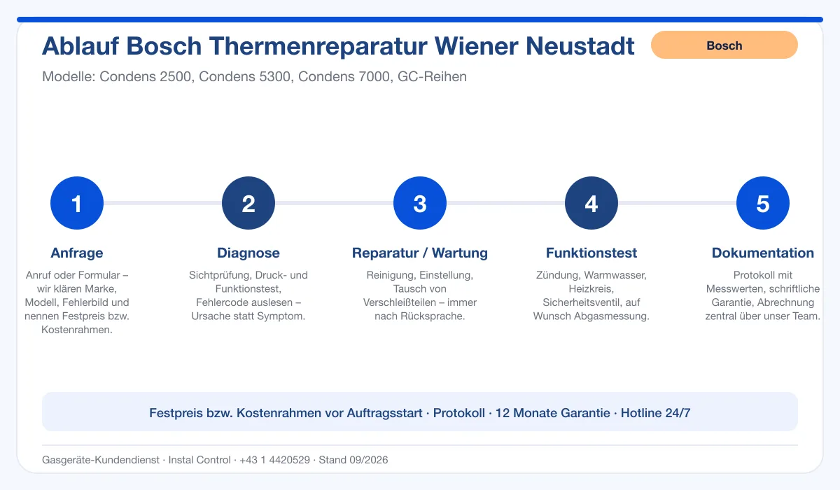 Infografik Ablauf Bosch Thermenreparatur Wiener Neustadt: Anfrage, Diagnose, Service, Funktionstest, Protokoll