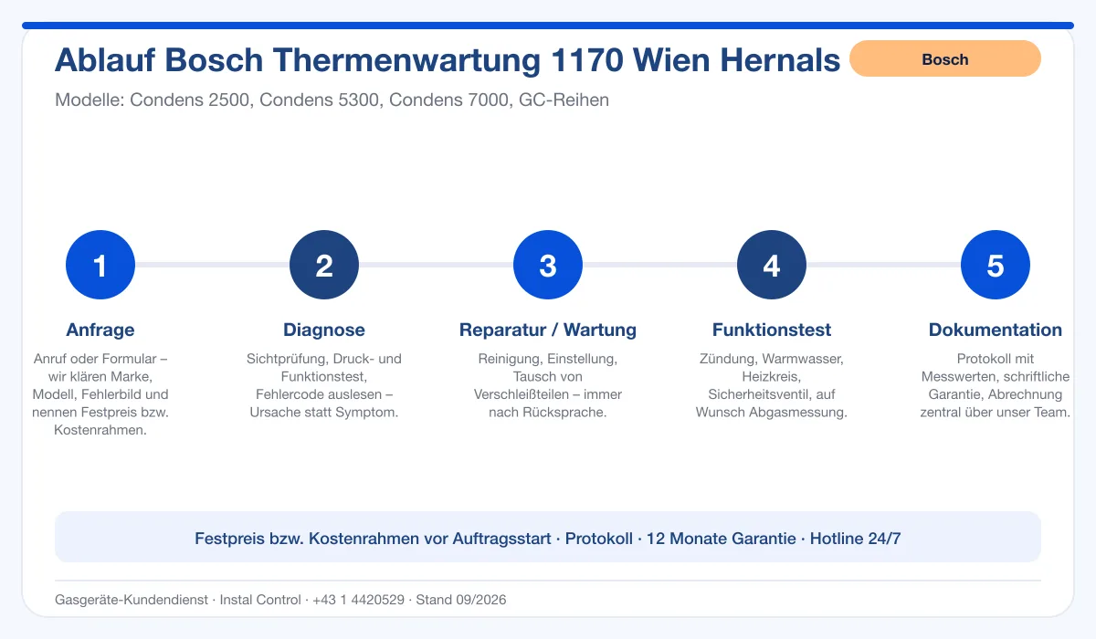 Infografik Ablauf Bosch Thermenwartung 1170 Wien Hernals: Anfrage, Diagnose, Service, Funktionstest, Protokoll
