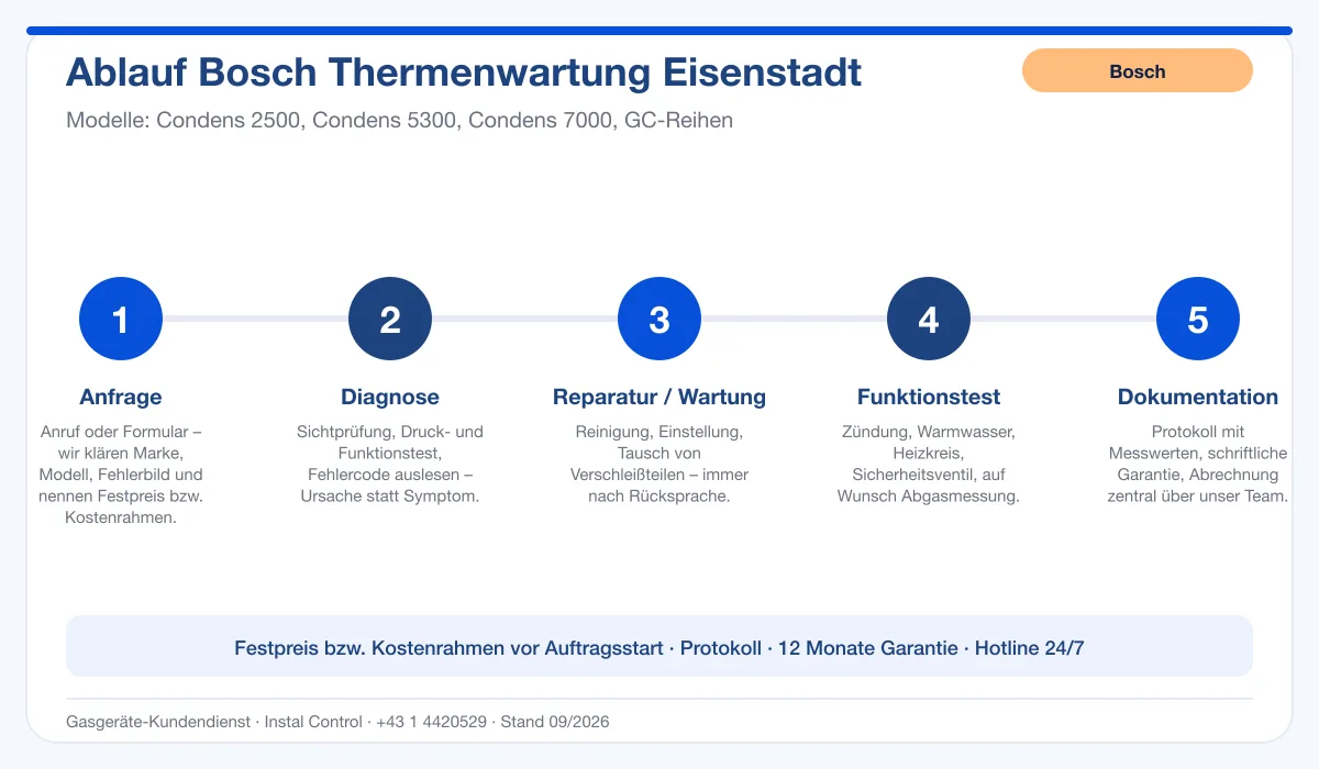 Infografik Ablauf Bosch Thermenwartung Eisenstadt: Anfrage, Diagnose, Service, Funktionstest, Protokoll