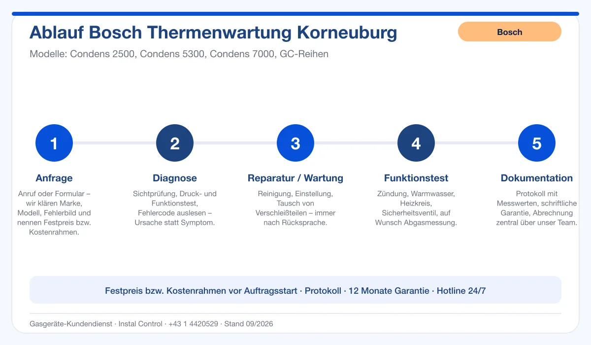 Infografik Ablauf Bosch Thermenwartung Korneuburg: Anfrage, Diagnose, Service, Funktionstest, Protokoll
