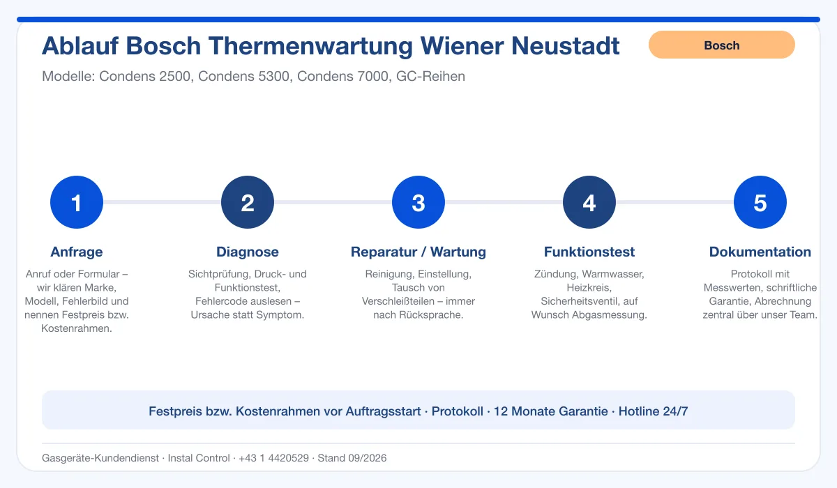 Infografik Ablauf Bosch Thermenwartung Wiener Neustadt: Anfrage, Diagnose, Service, Funktionstest, Protokoll