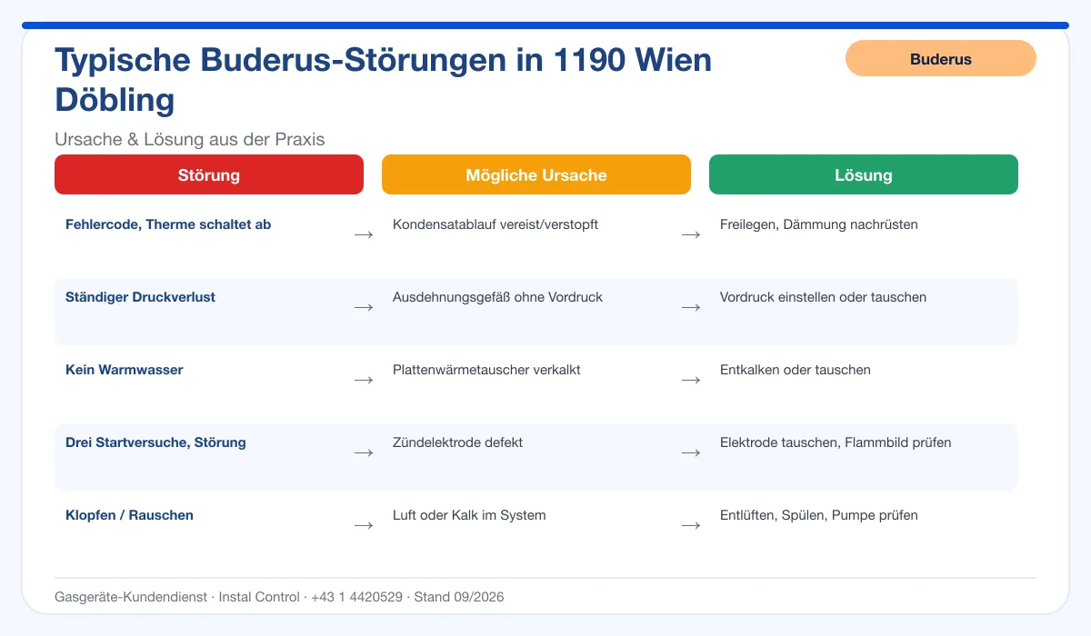 Infografik Buderus Thermenreparatur 1190 Wien Döbling: typische Störungen, Ursachen und Lösungen
