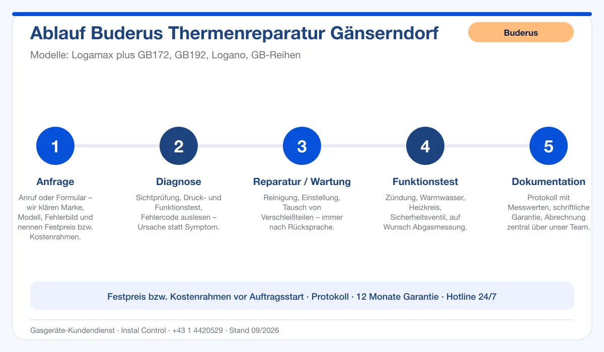 Infografik Ablauf Buderus Thermenreparatur Gänserndorf: Anfrage, Diagnose, Service, Funktionstest, Protokoll