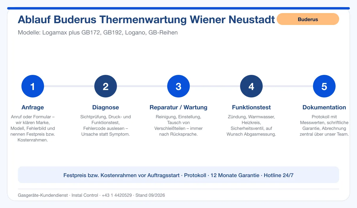 Infografik Ablauf Buderus Thermenwartung Wiener Neustadt: Anfrage, Diagnose, Service, Funktionstest, Protokoll