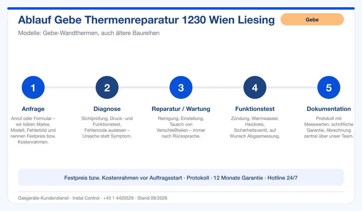 Infografik Ablauf Gebe Thermenreparatur 1230 Wien Liesing: Anfrage, Diagnose, Service, Funktionstest, Protokoll