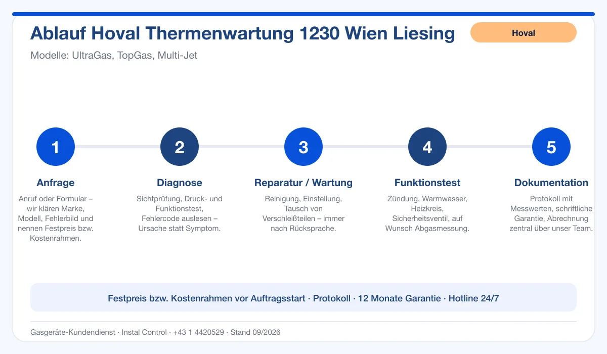 Infografik Ablauf Hoval Thermenwartung 1230 Wien Liesing: Anfrage, Diagnose, Service, Funktionstest, Protokoll