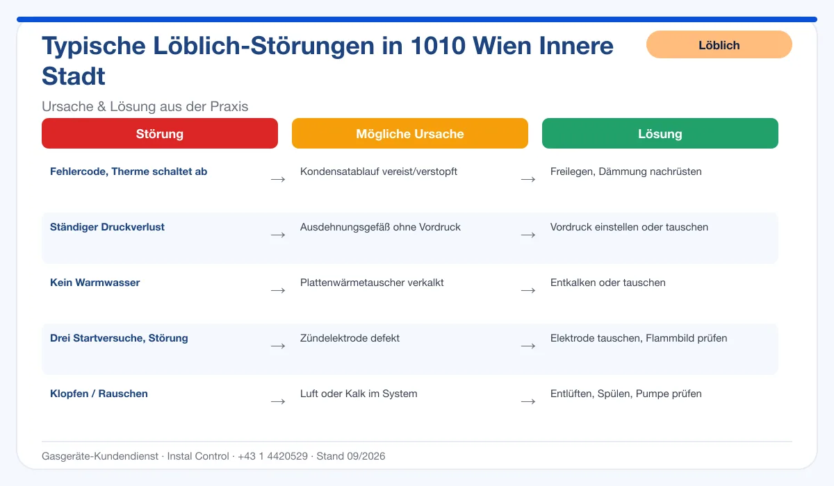 Infografik Löblich Thermenreparatur 1010 Wien Innere Stadt: typische Störungen, Ursachen und Lösungen