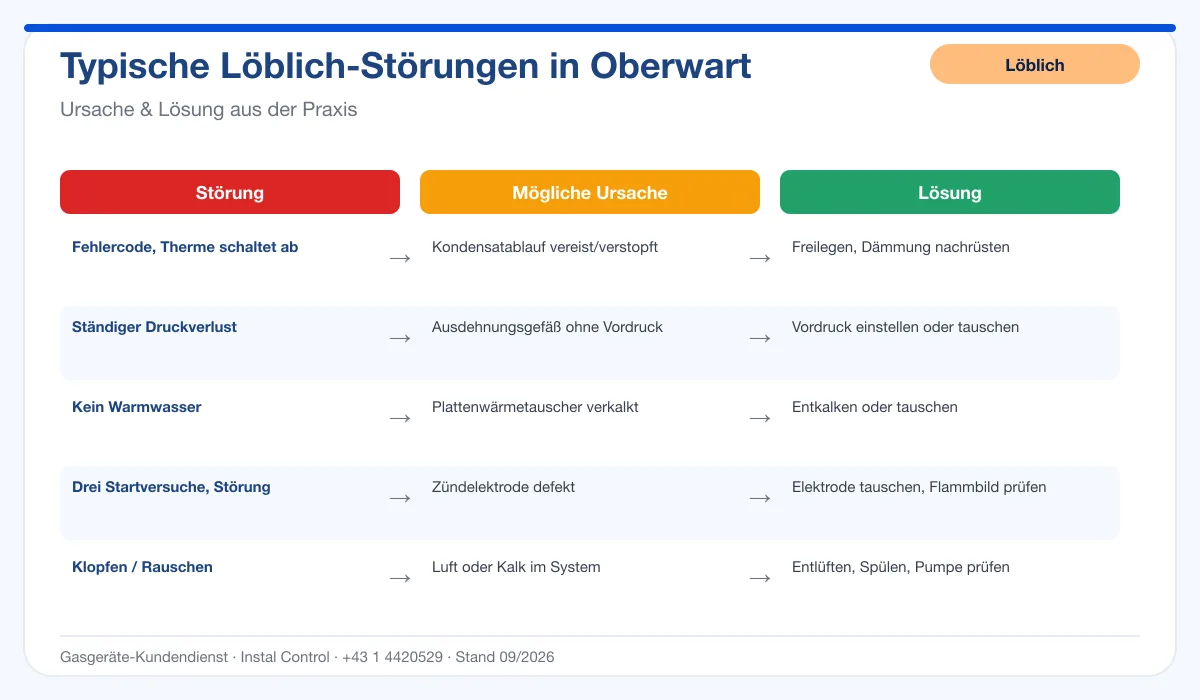 Infografik Löblich Thermenreparatur Oberwart: typische Störungen, Ursachen und Lösungen