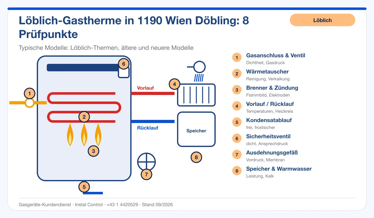 Infografik Löblich Thermenwartung 1190 Wien Döbling: Aufbau einer Löblich-Gastherme mit 8 Prüfpunkten