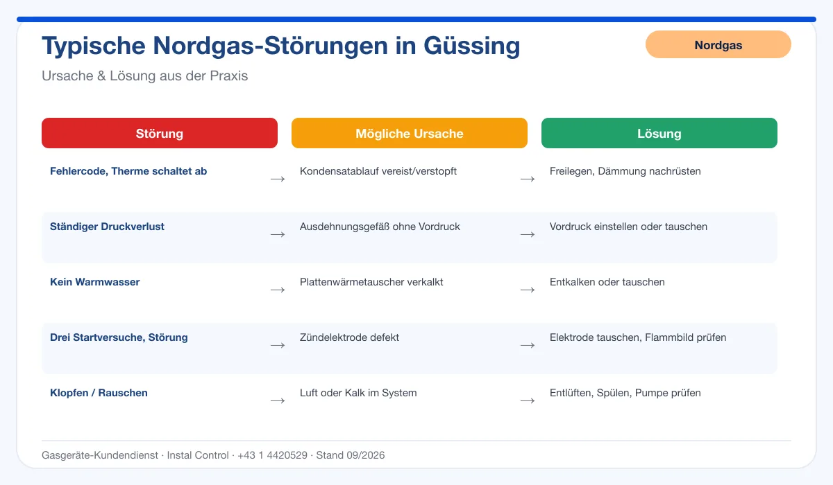 Infografik Nordgas Thermenreparatur Güssing: typische Störungen, Ursachen und Lösungen