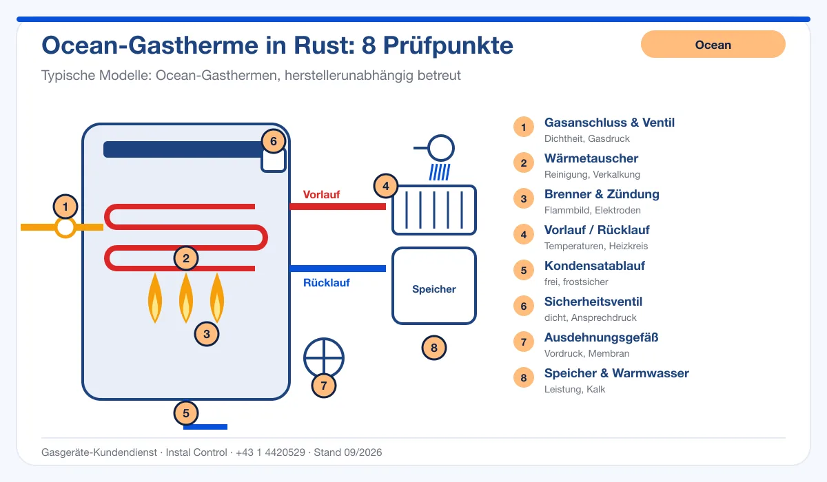 Infografik Ocean Kundendienst Rust: Aufbau einer Ocean-Gastherme mit 8 Prüfpunkten