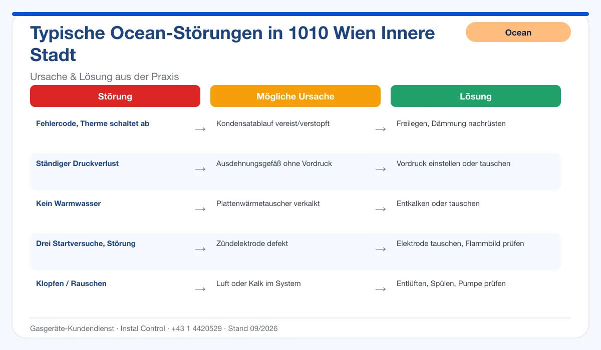 Infografik Ocean Thermenreparatur 1010 Wien Innere Stadt: typische Störungen, Ursachen und Lösungen