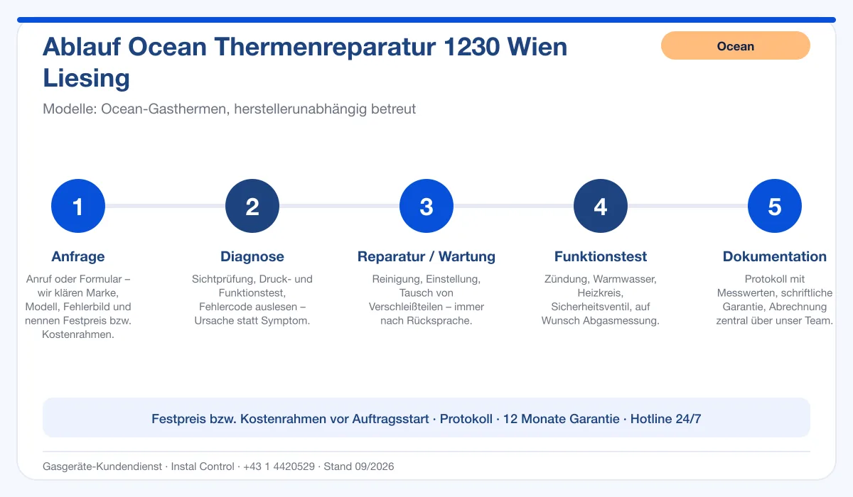 Infografik Ablauf Ocean Thermenreparatur 1230 Wien Liesing: Anfrage, Diagnose, Service, Funktionstest, Protokoll