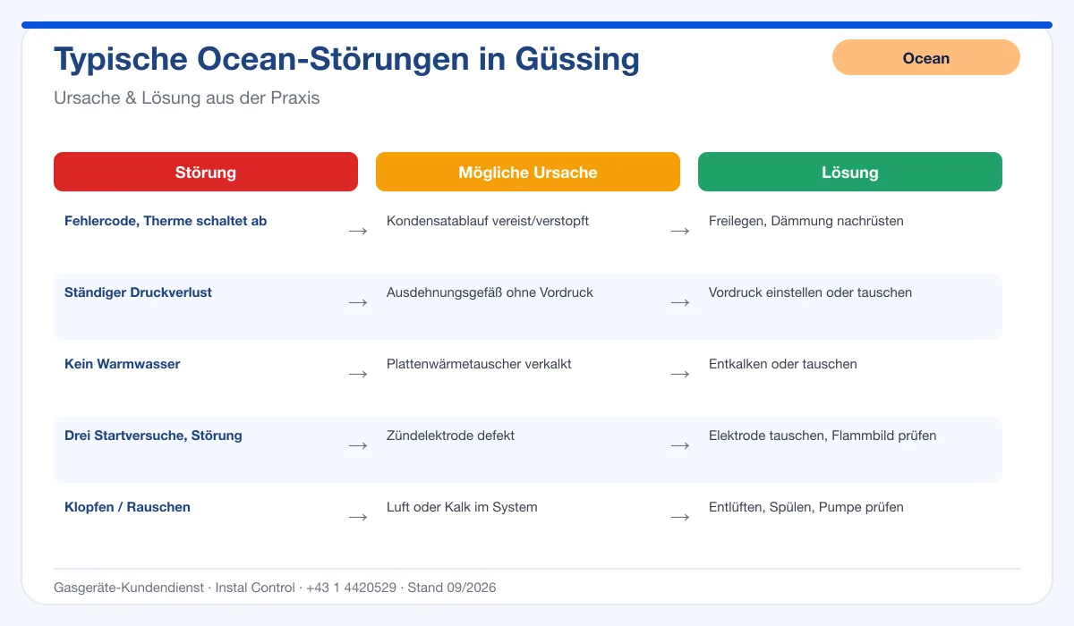 Infografik Ocean Thermenreparatur Güssing: typische Störungen, Ursachen und Lösungen