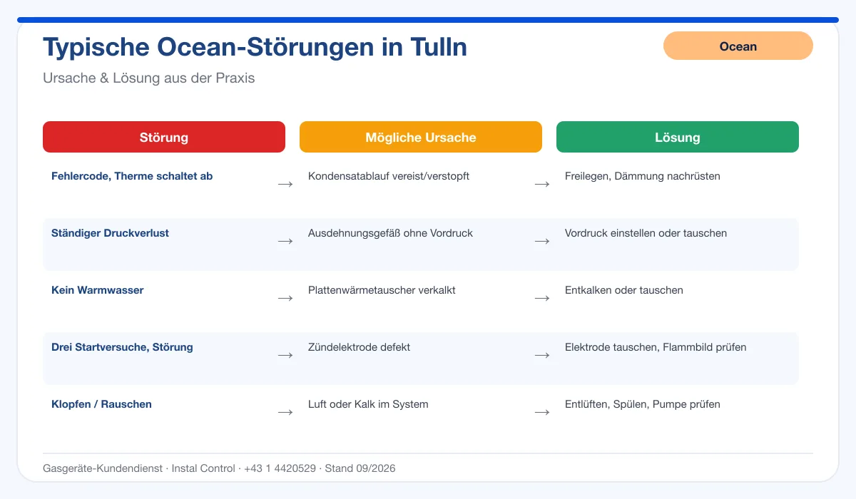 Infografik Ocean Thermenreparatur Tulln: typische Störungen, Ursachen und Lösungen