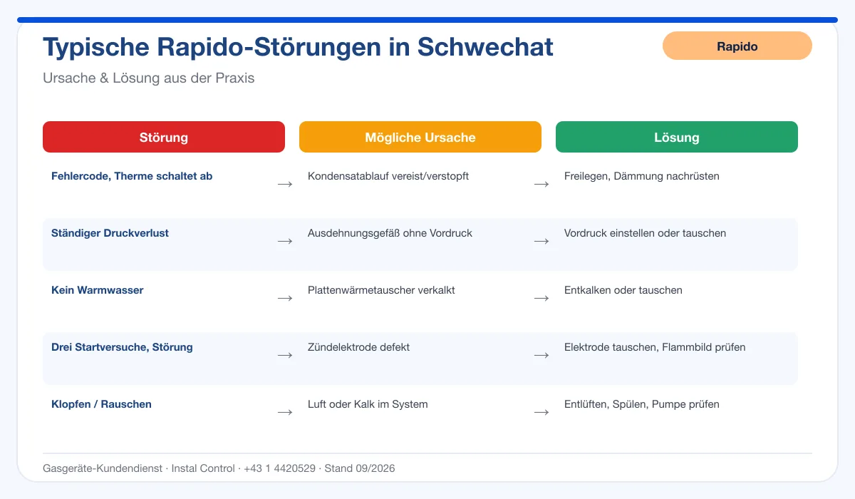Infografik Rapido Thermenreparatur Schwechat: typische Störungen, Ursachen und Lösungen