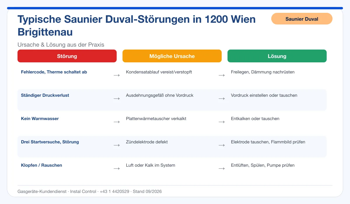 Infografik Saunier Duval Thermenreparatur 1200 Wien Brigittenau: typische Störungen, Ursachen und Lösungen