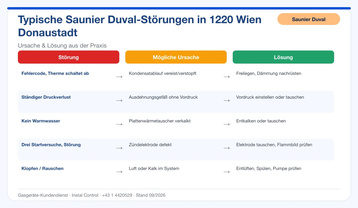Infografik Saunier Duval Thermenreparatur 1220 Wien Donaustadt: typische Störungen, Ursachen und Lösungen
