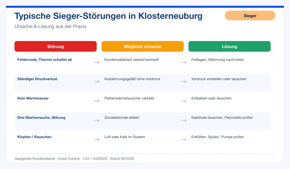 Infografik Sieger Thermenreparatur Klosterneuburg: typische Störungen, Ursachen und Lösungen