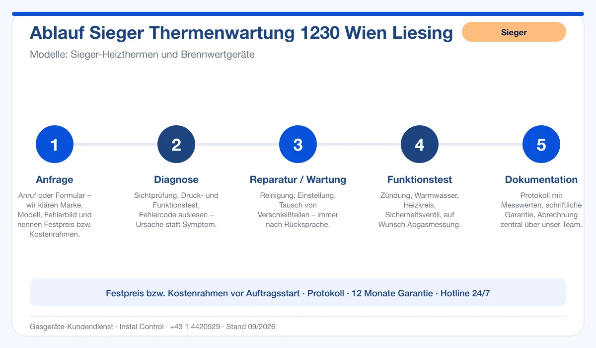 Infografik Ablauf Sieger Thermenwartung 1230 Wien Liesing: Anfrage, Diagnose, Service, Funktionstest, Protokoll