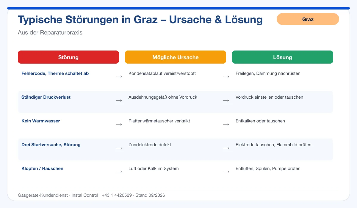 Infografik Thermenreparatur Graz: typische Störungen, Ursachen und Lösungen