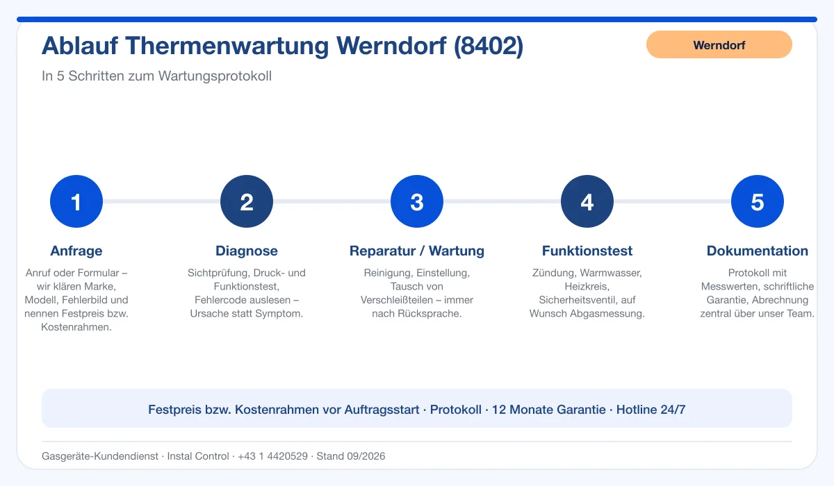 Infografik Ablauf Thermenwartung Werndorf 8402: Anfrage bis Protokoll