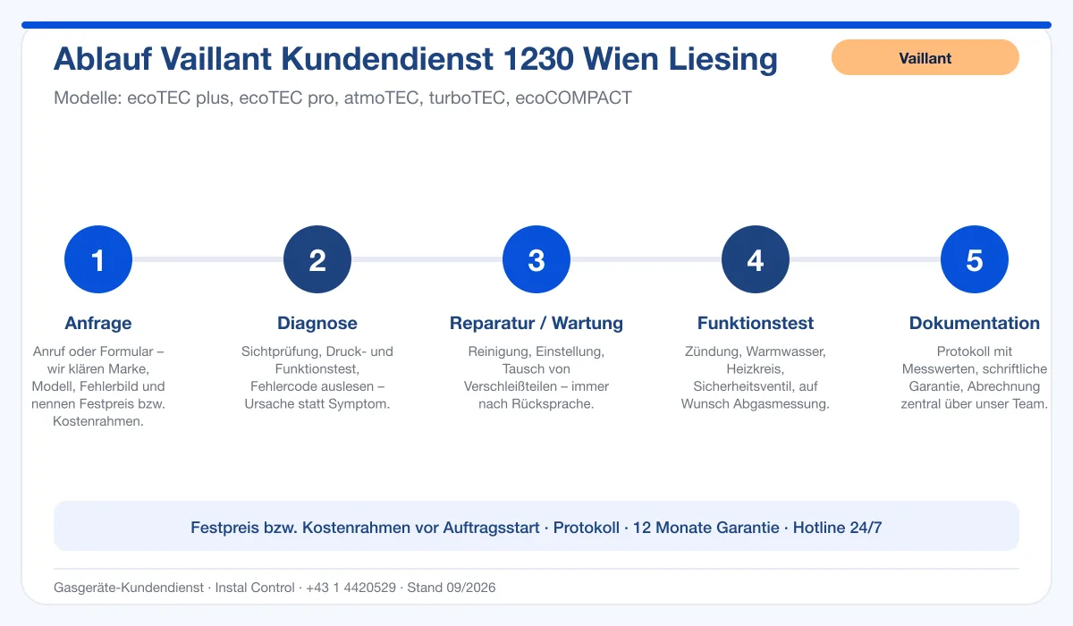 Infografik Ablauf Vaillant Kundendienst 1230 Wien Liesing: Anfrage, Diagnose, Service, Funktionstest, Protokoll