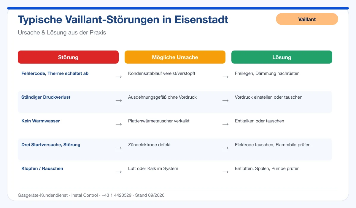 Infografik Vaillant Thermenreparatur Eisenstadt: typische Störungen, Ursachen und Lösungen
