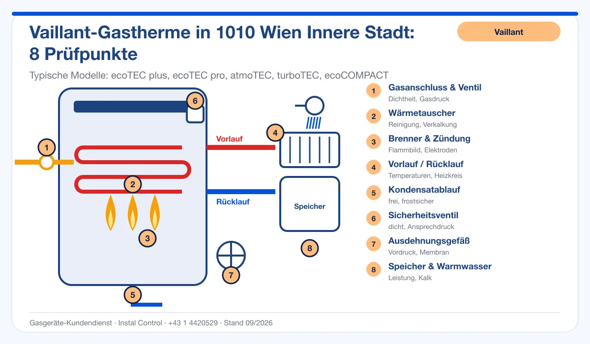 Infografik Vaillant Thermenwartung 1010 Wien Innere Stadt: Aufbau einer Vaillant-Gastherme mit 8 Prüfpunkten