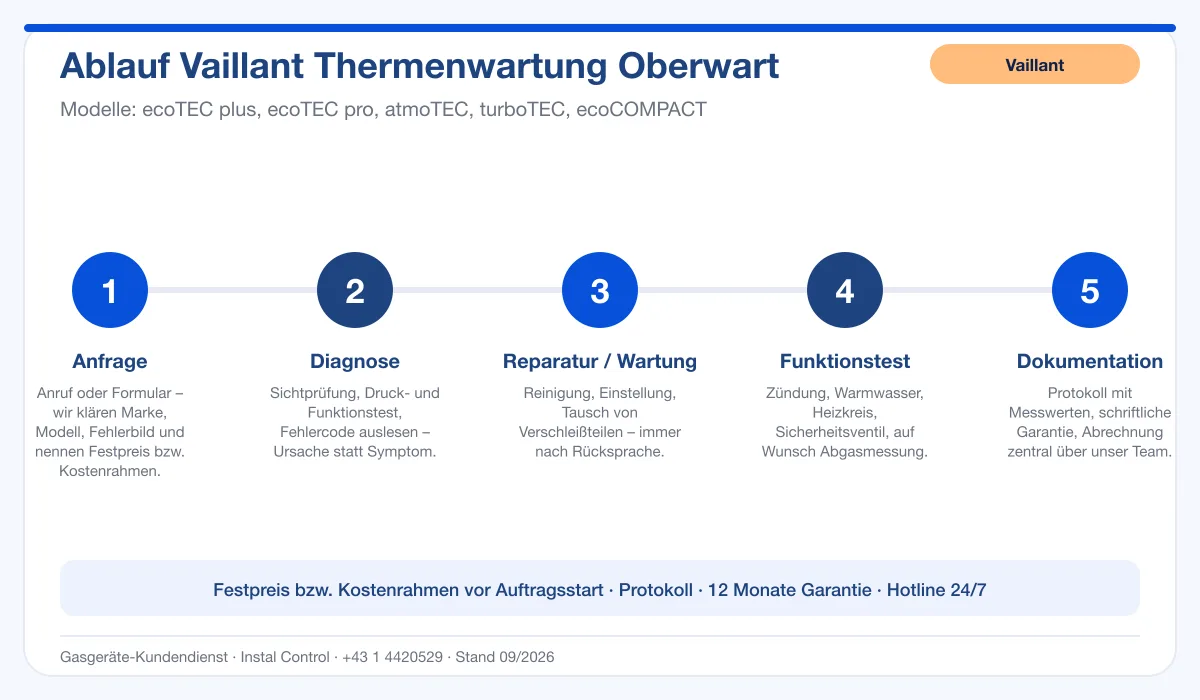 Infografik Ablauf Vaillant Thermenwartung Oberwart: Anfrage, Diagnose, Service, Funktionstest, Protokoll