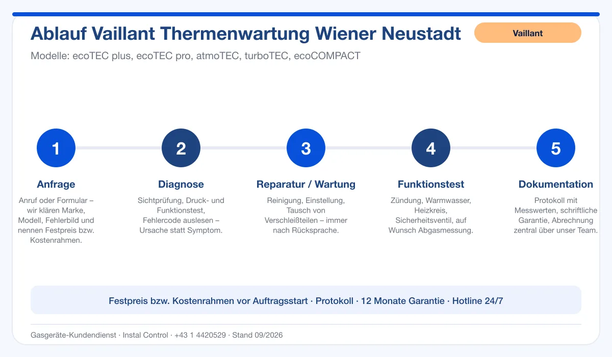 Infografik Ablauf Vaillant Thermenwartung Wiener Neustadt: Anfrage, Diagnose, Service, Funktionstest, Protokoll
