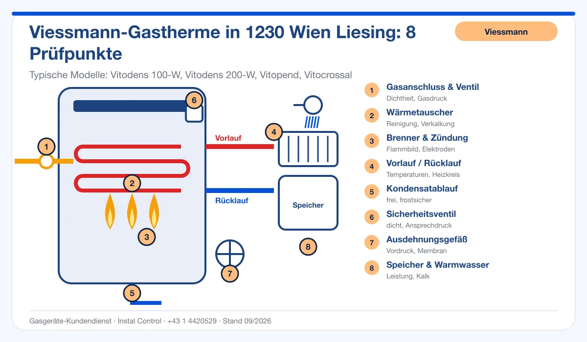 Infografik Viessmann Kundendienst 1230 Wien Liesing: Aufbau einer Viessmann-Gastherme mit 8 Prüfpunkten