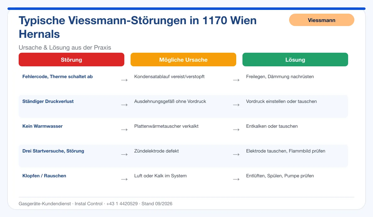 Infografik Viessmann Thermenreparatur 1170 Wien Hernals: typische Störungen, Ursachen und Lösungen