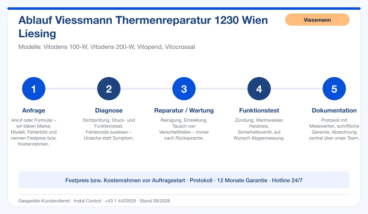Infografik Ablauf Viessmann Thermenreparatur 1230 Wien Liesing: Anfrage, Diagnose, Service, Funktionstest, Protokoll