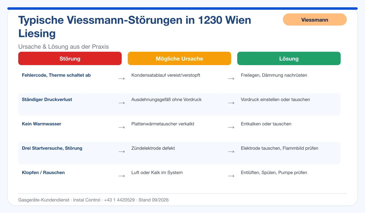Infografik Viessmann Thermenreparatur 1230 Wien Liesing: typische Störungen, Ursachen und Lösungen