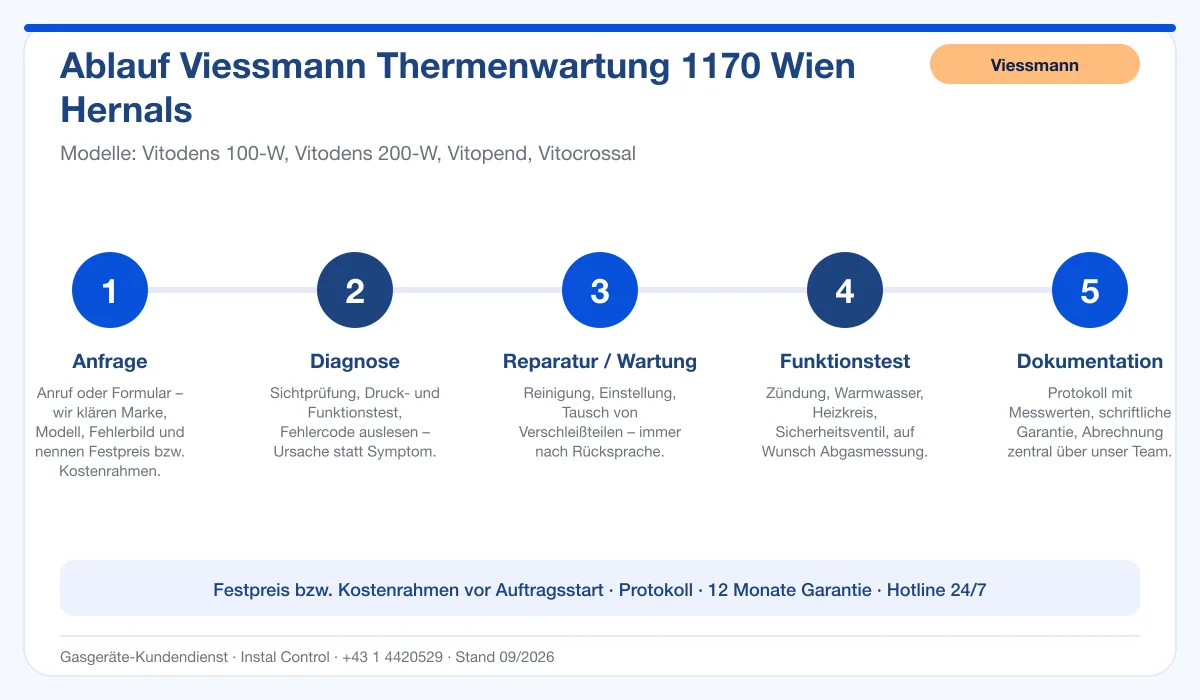 Infografik Ablauf Viessmann Thermenwartung 1170 Wien Hernals: Anfrage, Diagnose, Service, Funktionstest, Protokoll