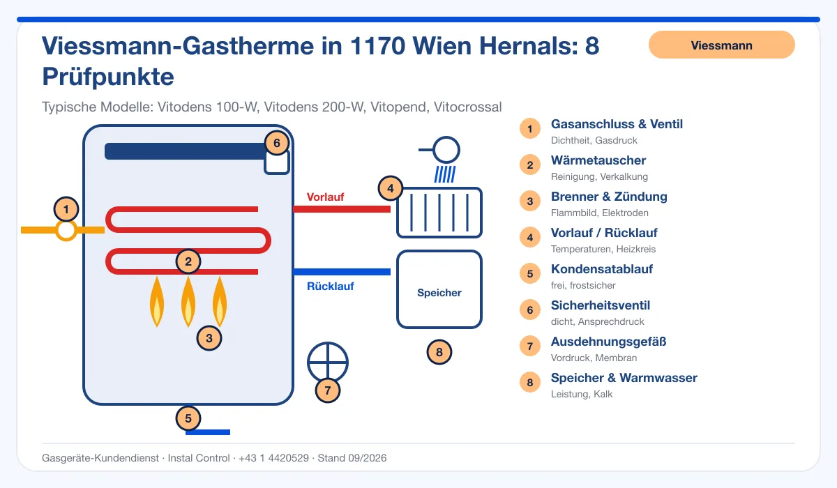 Infografik Viessmann Thermenwartung 1170 Wien Hernals: Aufbau einer Viessmann-Gastherme mit 8 Prüfpunkten