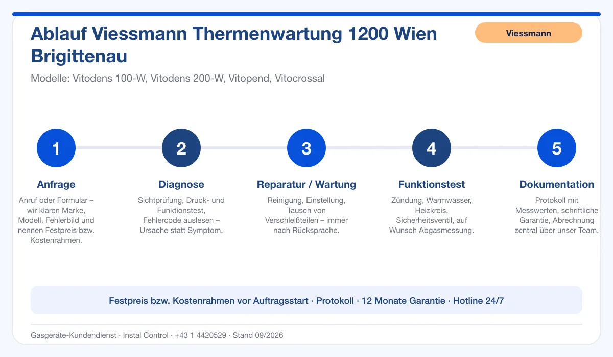 Infografik Ablauf Viessmann Thermenwartung 1200 Wien Brigittenau: Anfrage, Diagnose, Service, Funktionstest, Protokoll