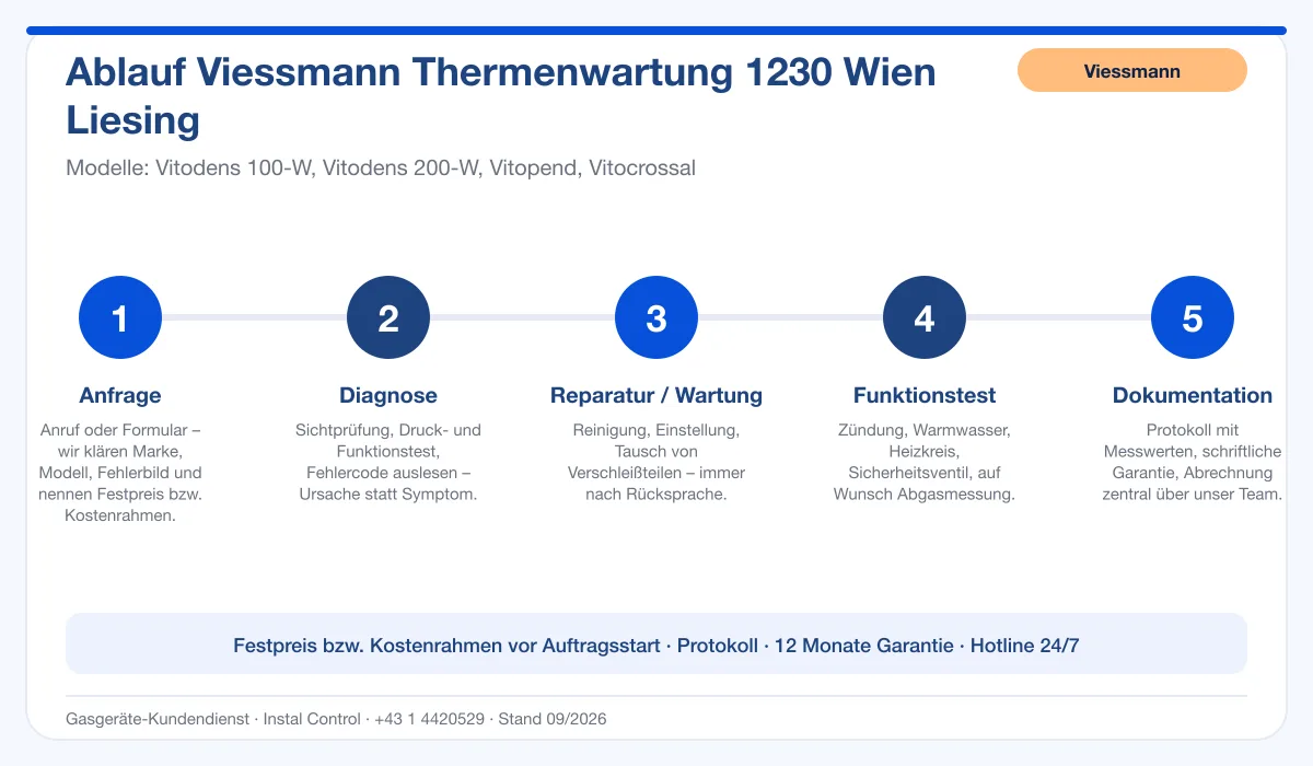 Infografik Ablauf Viessmann Thermenwartung 1230 Wien Liesing: Anfrage, Diagnose, Service, Funktionstest, Protokoll