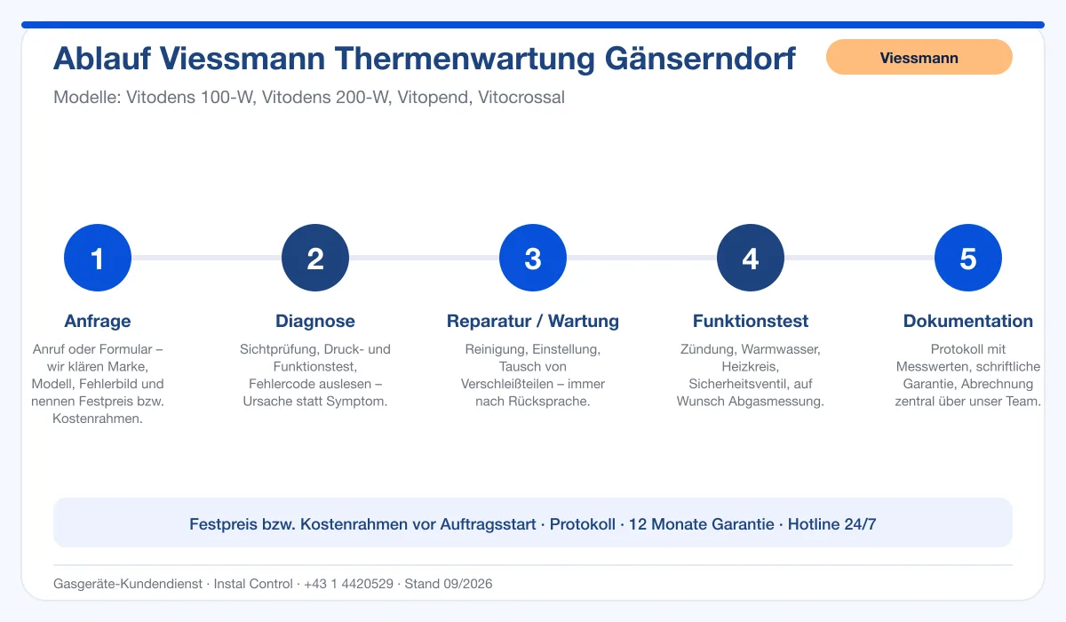 Infografik Ablauf Viessmann Thermenwartung Gänserndorf: Anfrage, Diagnose, Service, Funktionstest, Protokoll