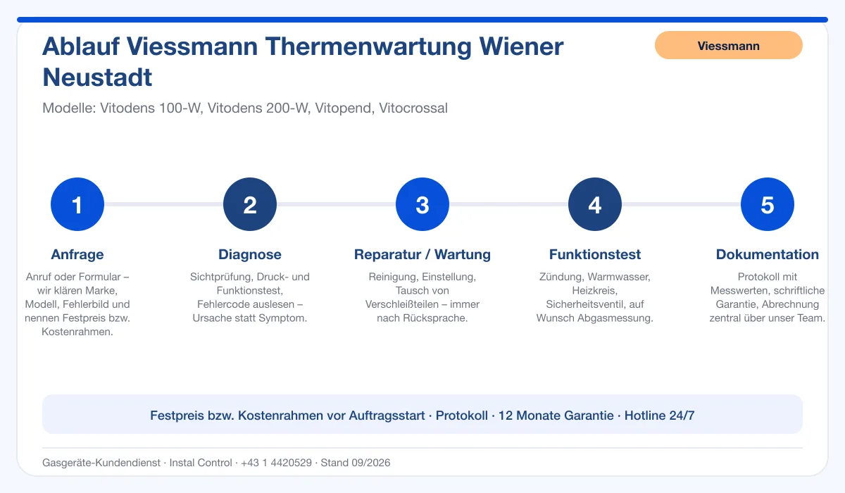 Infografik Ablauf Viessmann Thermenwartung Wiener Neustadt: Anfrage, Diagnose, Service, Funktionstest, Protokoll