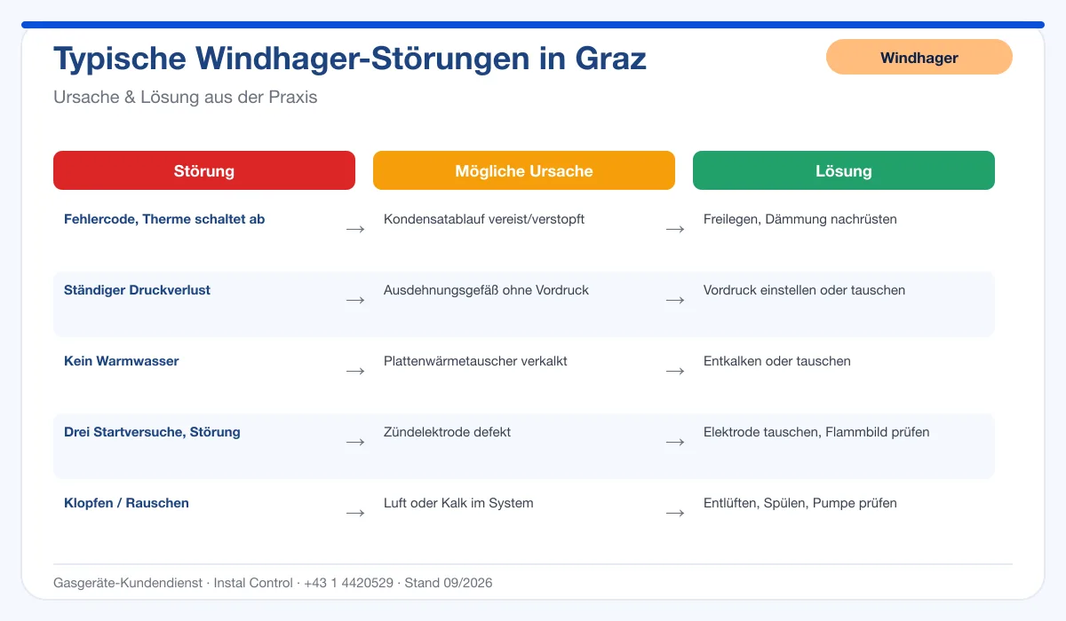 Infografik Windhager Thermenreparatur Graz: typische Störungen, Ursachen und Lösungen