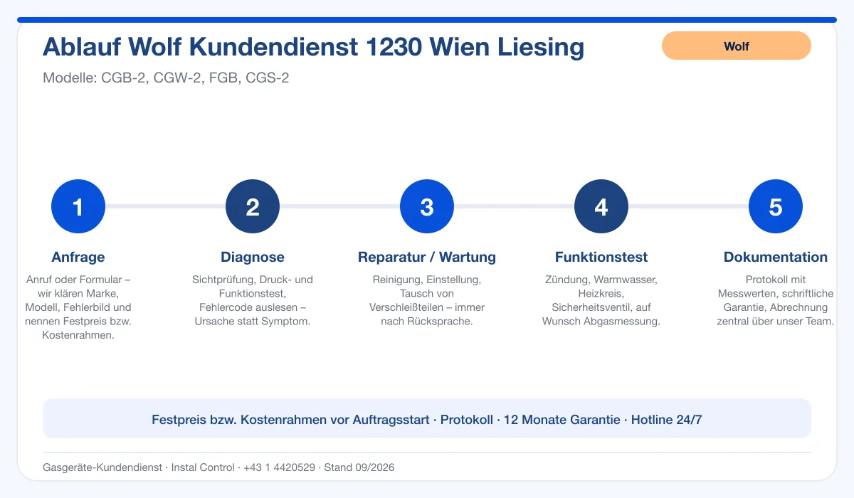 Infografik Ablauf Wolf Kundendienst 1230 Wien Liesing: Anfrage, Diagnose, Service, Funktionstest, Protokoll